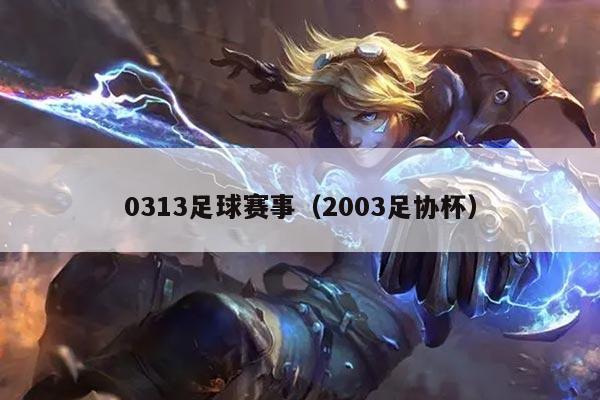 0313足球赛事(2003足协杯)