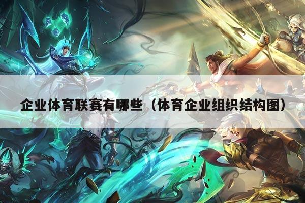 企业体育联赛有哪些(体育企业组织结构图)